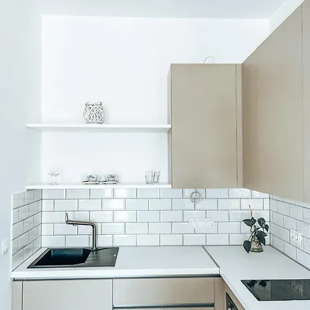 Cycladic Stone Lejlighed